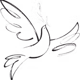 PeaceBuilders